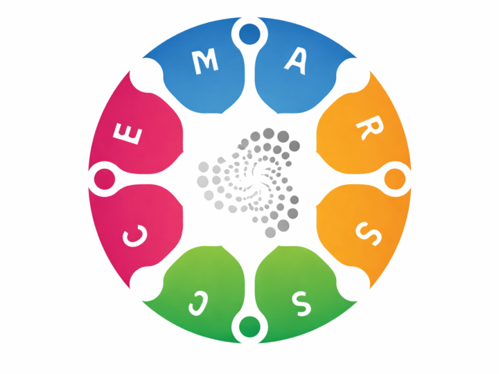 Vision, valeurs et engagements du CEMARESS